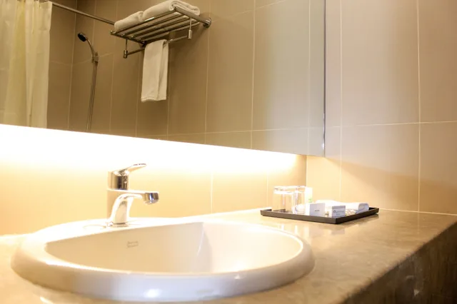 غرفة قياسية بسرير مزدوج، LAS PALMAS HOTEL DE MANILA 5/5