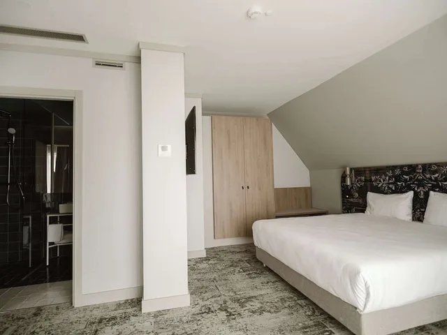 جناح بسرير كينج مع أريكة، Mercure Sibiu Arsenal 4/9