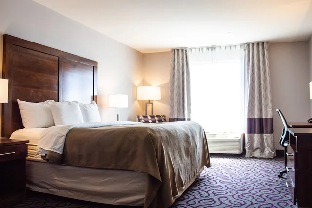 غرفة قياسية بسرير كينج، Comfort Inn & Suites Lovington, NM 5/6