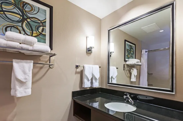 غرفة رباعية بسريرين كوين بحوض استحمام لذوي الإعاقة، Hilton Garden Inn The Colony Dallas 9/9