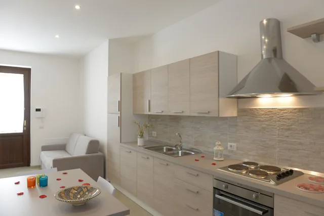 شقة بسرير كوين بغرفة نوم واحدة مع أريكة، DOMUS ANTIQUA RESIDENCE 8/8