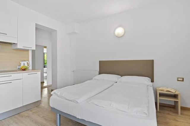 1 Bedroom, Panoramic, Apartment, Valley View, Balcony، Residence Lagorai 3/8