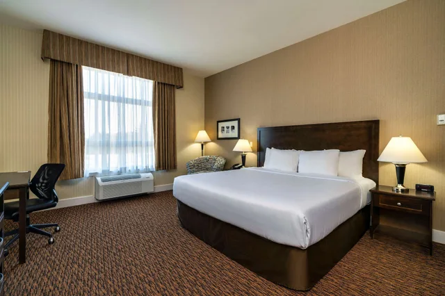 جناح ديلوكس بسرير كينج، Comfort Inn & Suites Surrey 1/6