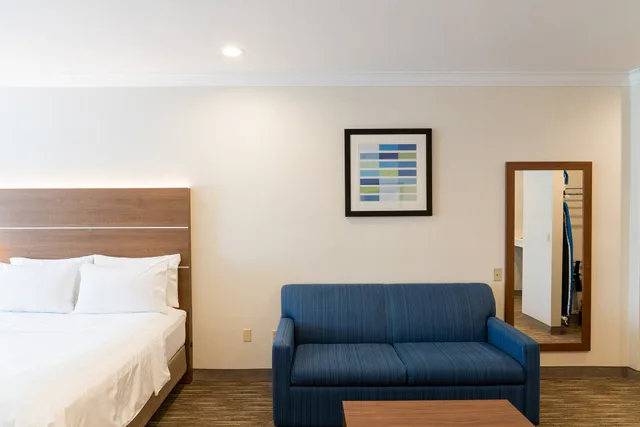 جناح بسرير كينج، Holiday Inn Express Suites Davis University Area 3/8