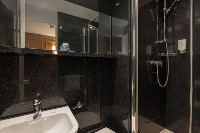Solo, Classic, Single Bed، STG Hotel London Oxford Street 3/3