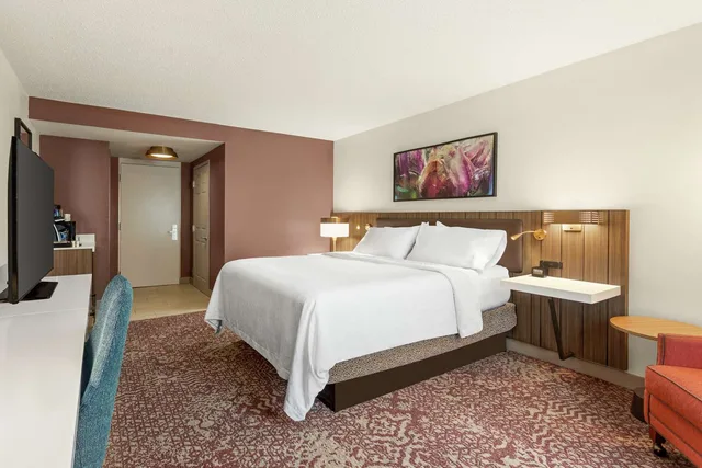 غرفة بسرير كينج بحوض استحمام لذوي الإعاقة، Hilton Garden Inn Allentown Bethlehem Airport 2/3