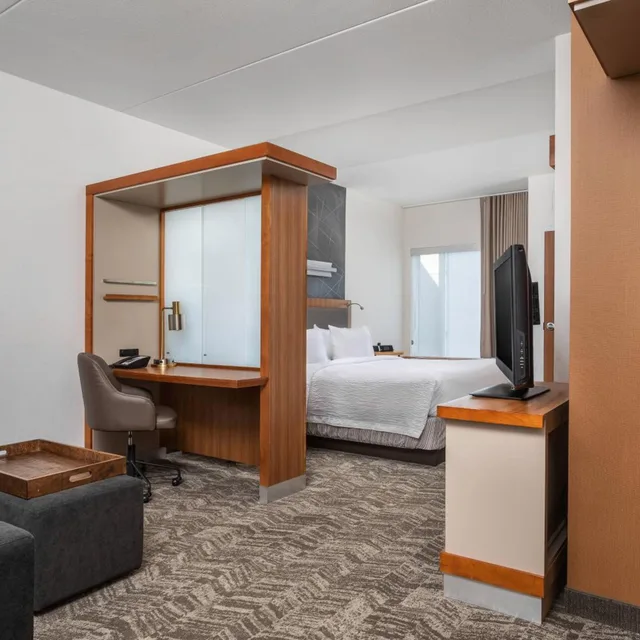 استوديو بسرير كينج مع سرير سحّاب إضافي مع أريكة، Springhill Suites Chattanooga Downtown Cameron Harbor 3/6
