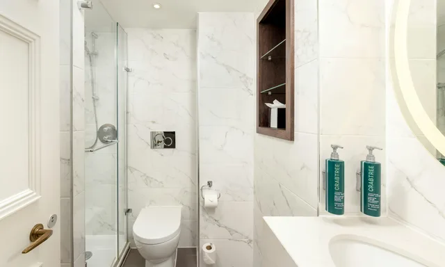 غرفة ديلوكس بسرير مزدوج، Hilton London Euston 8/10