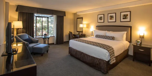 غرفة مفردة لذوي الإعاقة، Concord Plaza Hotel 1/4