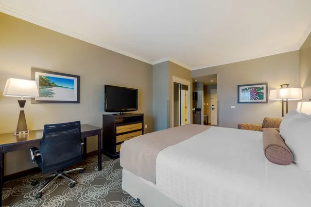 Room, King Bed, Best Western Plus Miami Airport North Hotel & Suites 2/4