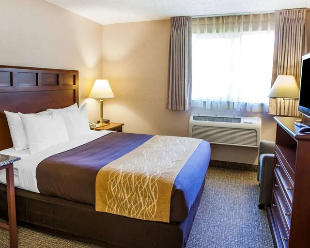Room, Queen Bed, Quality Inn Kirkland 1/2