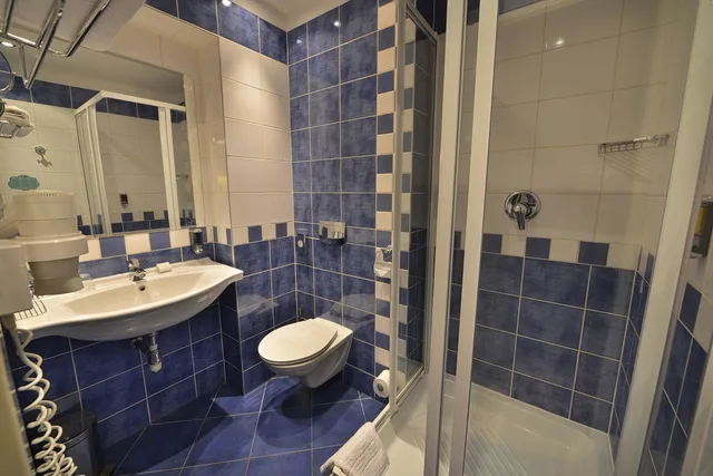 غرفة قياسية بسرير مزدوج أو سريرين منفصلين، Ea Hotel Jeleni Dvur Prague Castle 6/6