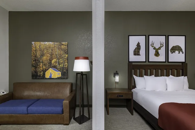 Park, Water, Suite, Queen Bed, Sofa, Accessible، Great Wolf Lodge Grapevine 2/5