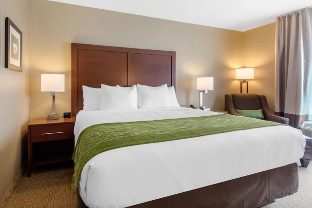 غرفة قياسية بسرير كينج، Comfort Inn & Suites At Crossplex Village 3/9