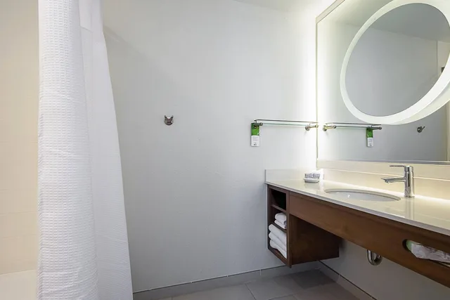 جناح بسريرين كوين مع سرير سحّاب إضافي مع أريكة، SpringHill Suites Tampa North/I-75 Tampa Palms 3/3
