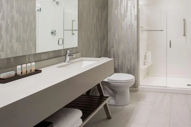 استوديو لذوي الإعاقة، Embassy Suites By Hilton Seattle Downtown Pioneer Square 3/5