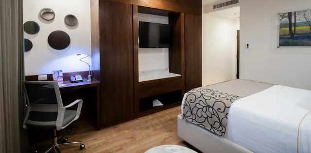 Deluxe, Executive, Queen Bed, Hs Hotsson Hotel Queretaro 5/5