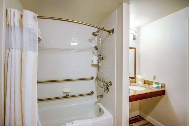 غرفة ديلوكس بسرير كينج لذوي الإعاقة، Hilton Garden Inn Tampa Ybor Historic District 4/4