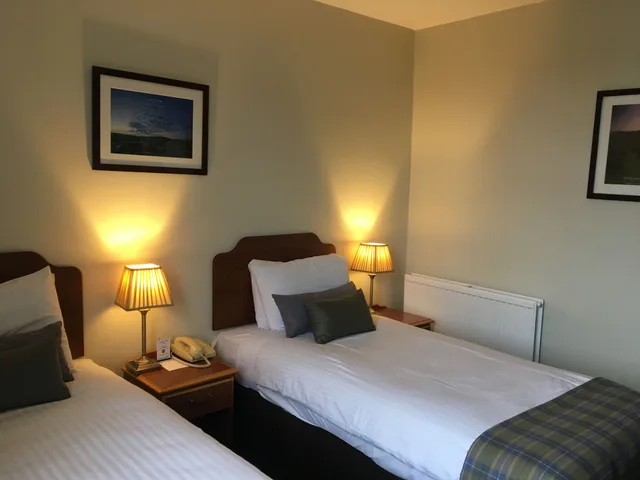 غرفة سوبيريور مفردة بسريرين منفصلين، NETHYBRIDGE HOTEL 1/10