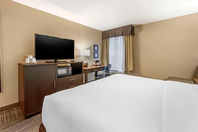 جناح بسرير كينج، Comfort Inn & Suites Sea-Tac Airport 4/5