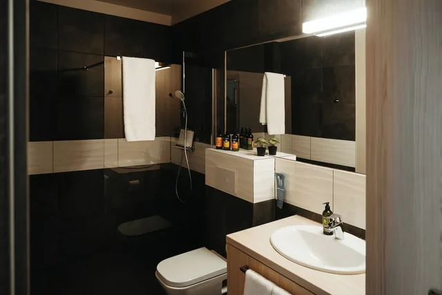 استوديو بسرير مزدوج، Vik Apartments 4/4