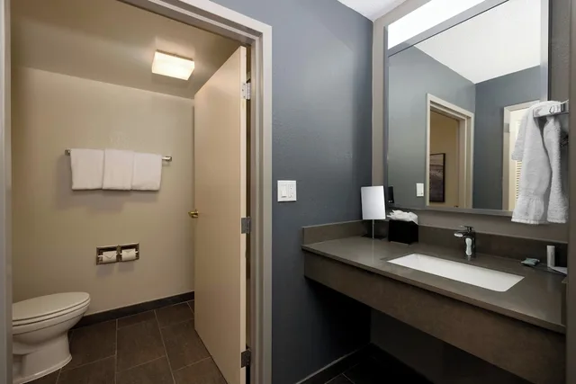 غرفة بسرير كينج مع أريكة، Courtyard by Marriott North Charleston Airport/Coliseum 10/10