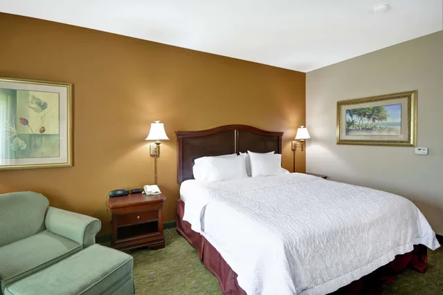 غرفة بسرير كينج مع أريكة لذوي الإعاقة، Hampton Inn Corpus Christi 1/6