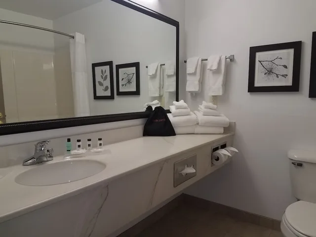 جناح استوديو بسرير كينج، Country Inn Suites By Radisson Indianapolis Airport South In 2/2