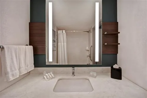 غرفة بسرير مزدوج، Hilton Garden Inn Houston/Galleria Area 2/2