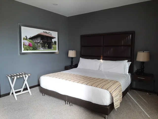 Superior, King Bed, Pontevedra Hotel Boutique 3/10