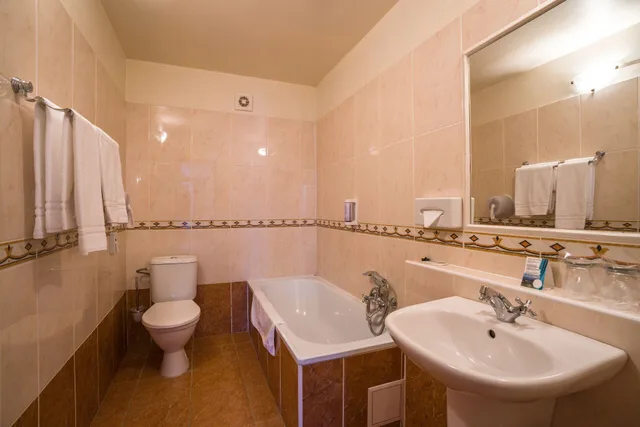 جناح بسرير مزدوج وسرير فردي بشرفة، Dixon Congress Hotel 2/3
