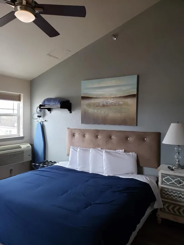 Standard, Single, King Bed, Price Pointe Inn 4/5