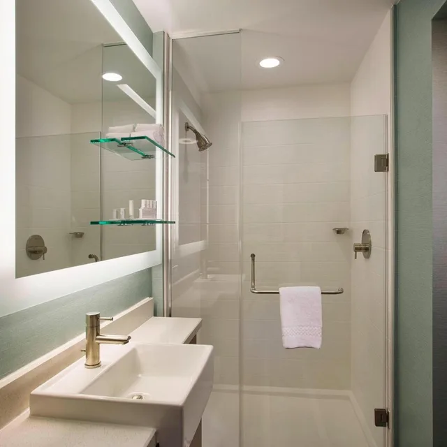 استوديو كبير بسرير كينج، Springhill Suites Houston Downtown/Convention Center 2/3