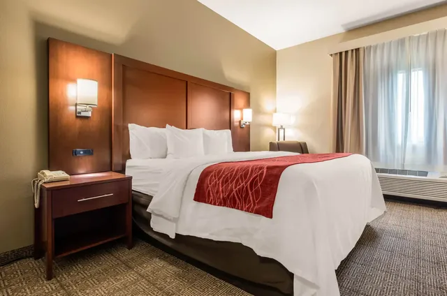 جناح بسرير كينج للمدخنين، Quality Inn & Suites Cartersville North 1/1