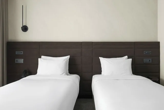 غرفة قياسية بسريرين منفصلين، Novotel Tbilisi Center 8/10