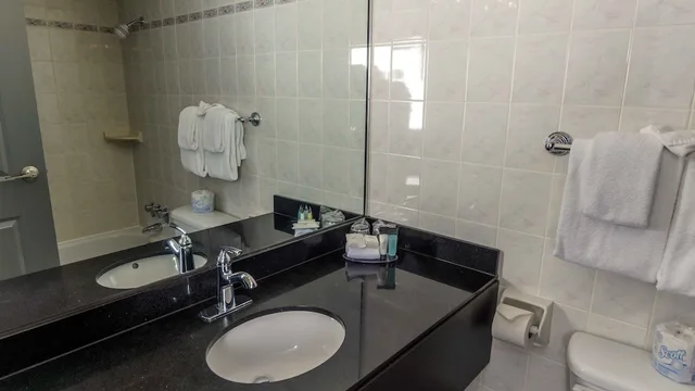 جناح ركني بسرير كينج بغرفة نوم واحدة بمطبخ، Century Plaza Hotel & Spa 4/6