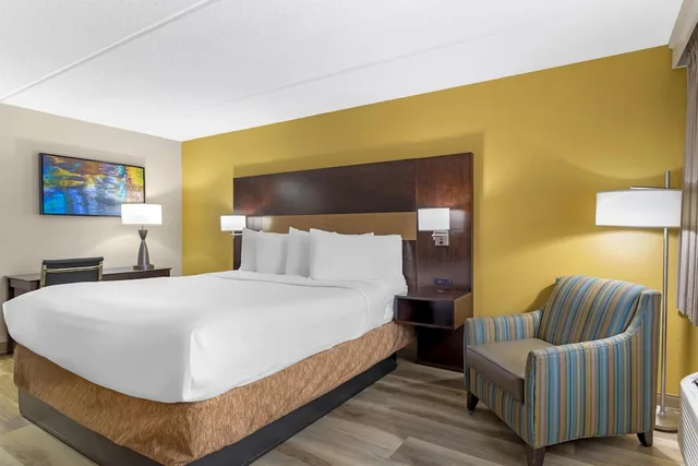 غرفة قياسية بسرير كينج للمدخنين، Best Western Inn of Palatka 6/8