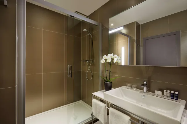 غرفة سوبيريور بسرير مزدوج، PARK PLAZA NUREMBERG 4/4