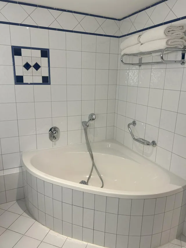 جناح فاخر، Vichy Celestins Spa Hotel 3/5