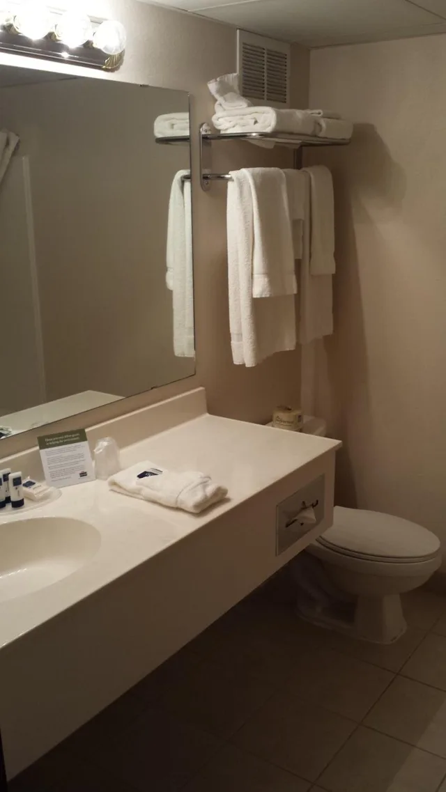 جناح ديلوكس بسرير كينج مع أريكة، Americinn By Wyndham Madison Sd 2/3