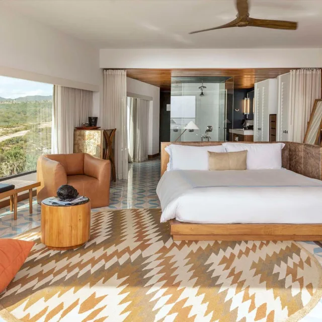 Panoramic, Suite, Ocean and Plunge View, Plunge Pool، THE CAPE - A THOMPSON HOTEL 3/6