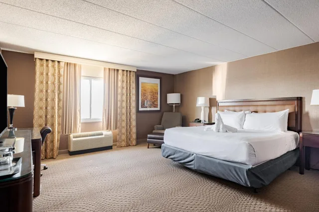 جناح استوديو بسرير كينج مع أريكة، Wyndham Omaha/West Dodge 1/10