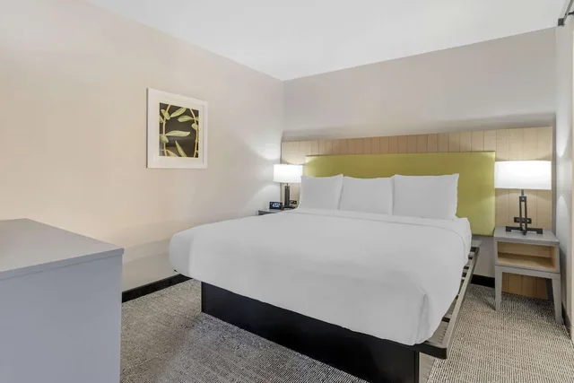 غرفة بسرير كينج لذوي الإعاقة، Country Inn & Suites by Radisson, Vallejo Napa Valley, CA 2/10