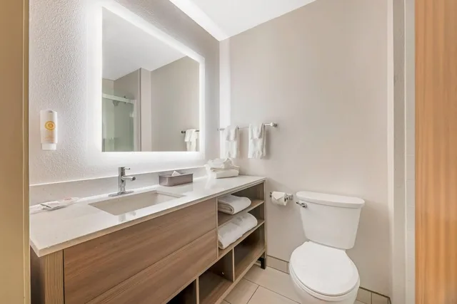 Spa, Executive, Suite, King Bed, Sofa, Accessible، Comfort Suites Salem 2/7