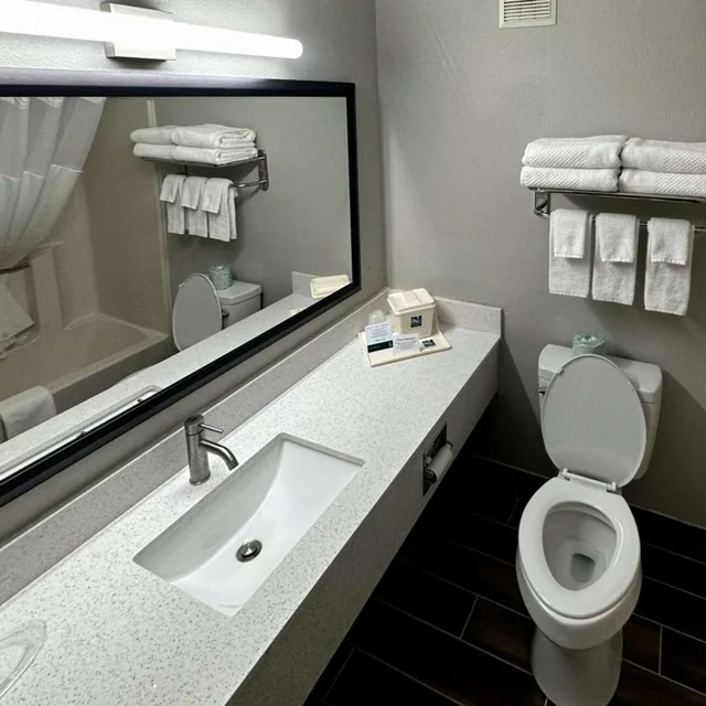 جناح بسرير كينج مع أريكة لذوي الإعاقة، Quality Suites Near West Acres 4/4