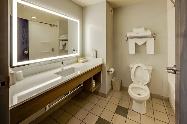 جناح بسرير كينج مع أريكة بمنطقة جلوس، Holiday Inn Express Hotel Suites Columbus Univ Area Osu 6/6