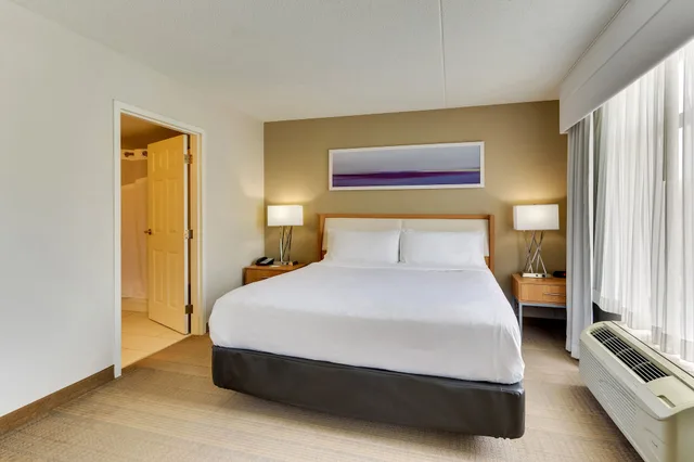 جناح بسرير كينج لذوي الإعاقة، HOLIDAY INN FRANKLIN - COOL SPRINGS 1/3