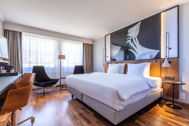 Superior, RADISSON BLU HOTEL BASEL 1/9