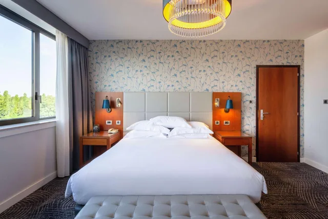 غرفة متصلة ديلوكس بسرير كينج وسرير فردي، Hilton Strasbourg Hotel 2/5