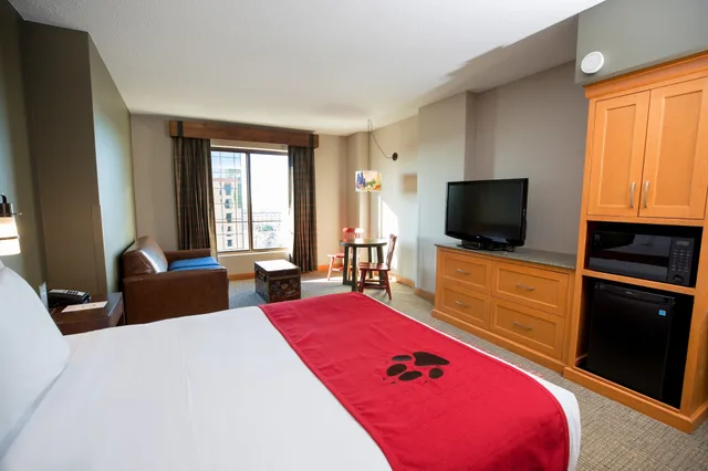 Junior Suite, Studio, Queen Bed, Sofa، Great Wolf Lodge Bloomington 1/4